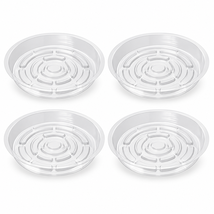 Clear Plant Saucers, Set of 4