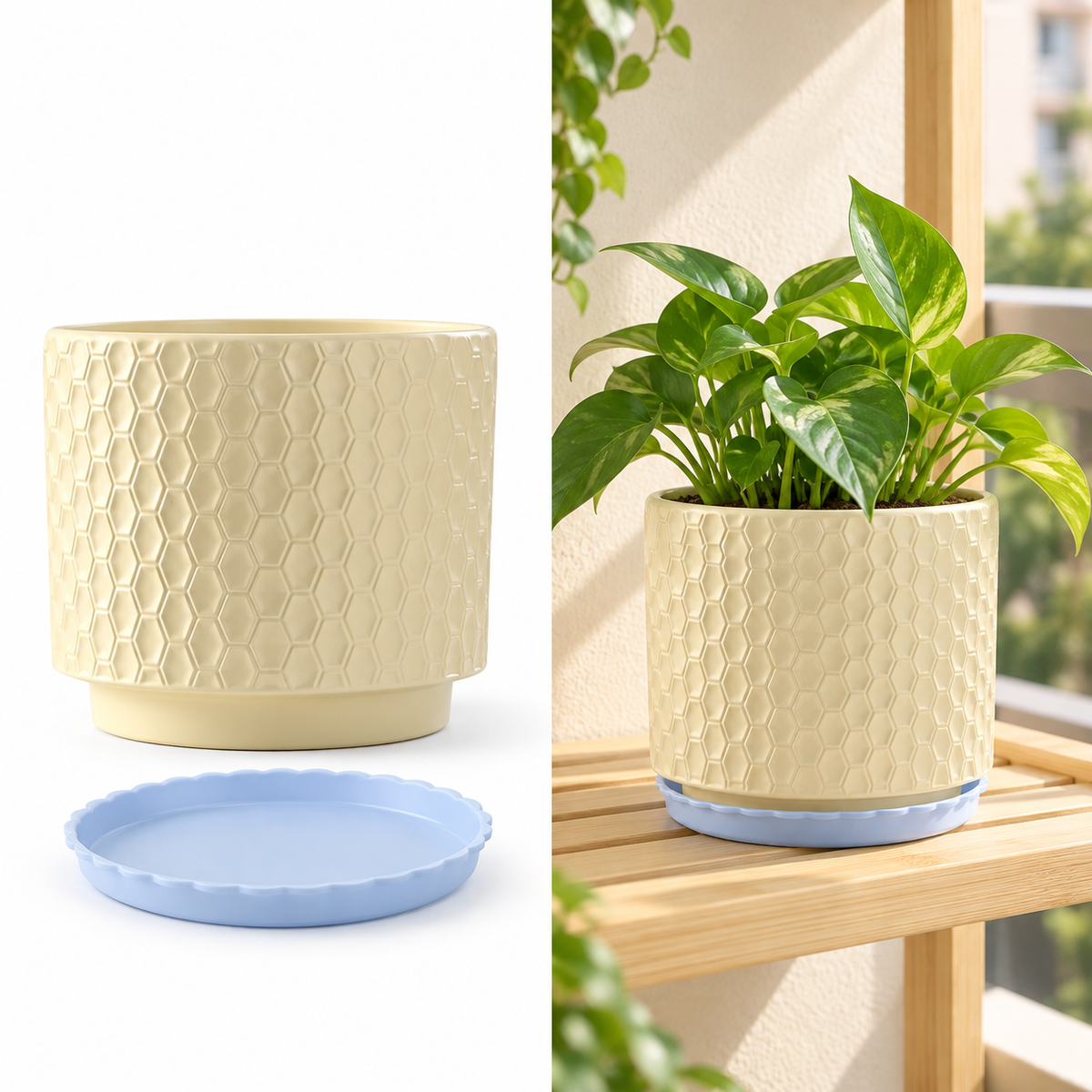 Cream Honeycomb Planter with Saucer