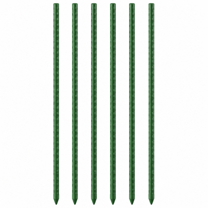 Green Coated Plant Stakes, Set of 6 — product on white